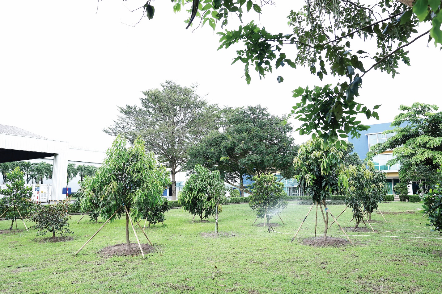 BAT áp dụng IWS và phân tích thất thoát để quản lý nguồn nước trong chuỗi vận hành