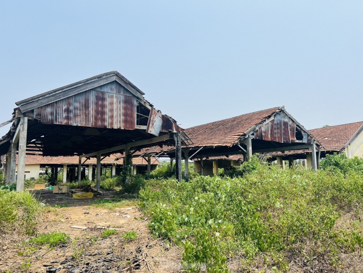 Loay hoay với công ty 