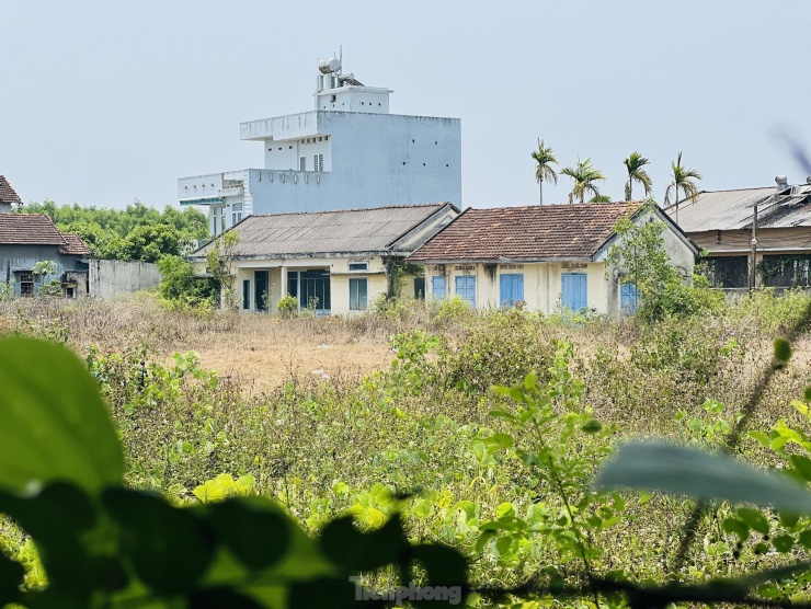 Loay hoay với công ty 