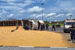 Tin tức trong ngày - Xe container bị lật, hàng chục tấn bắp đổ tràn ra đường