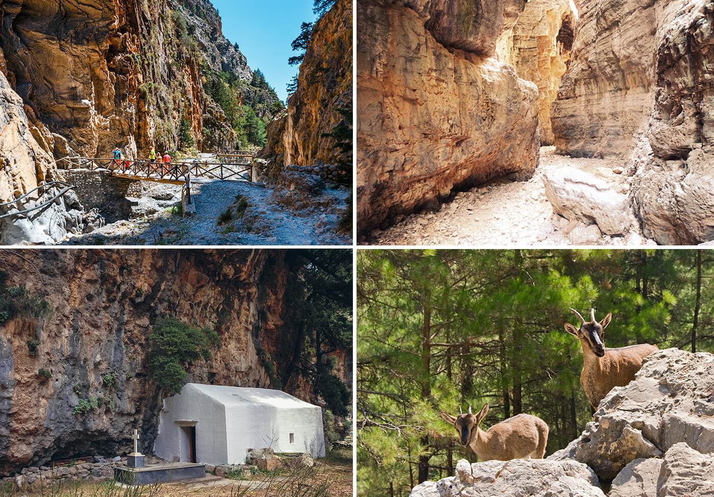 Hy Lạp không chỉ có mỗi Santorini, hẻm núi tuyệt đẹp này cũng hấp dẫn không kém - 3