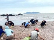 Thị trường - Tiêu dùng - 'Lộc biển' dạt vào trắng bờ cát, người dân đua nhau nhặt về ăn