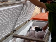 Thị trường - Tiêu dùng - Hàng tấn chân, cánh gà không rõ nguồn gốc chuẩn bị lên bàn ăn
