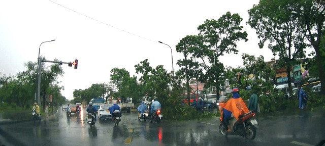 Cây xanh ngã đổ ở trên đường Trần Hưng Đạo vì dông lốc.