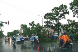 Tin tức trong ngày - Cây xanh ngã đổ, nhà cửa hư hại vì dông lốc ở Huế