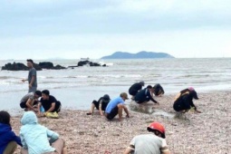 Thị trường - Tiêu dùng - 'Lộc biển' dạt vào trắng bờ cát, người dân đua nhau nhặt về ăn