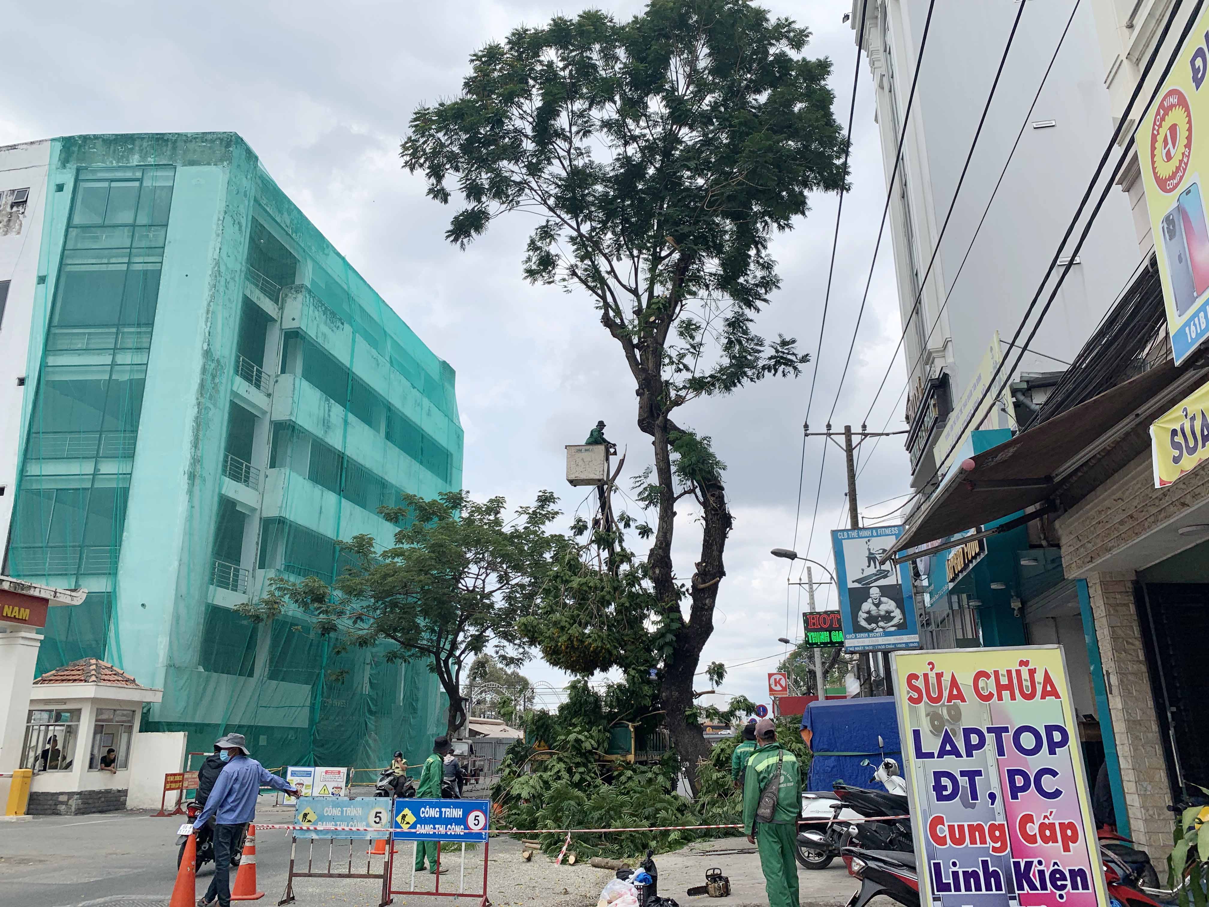 Những ngày qua, cây xanh trên vỉa hè đường Hoàng Hoa Thám, đoạn từ đường Cộng Hòa đến sân bay Tân Sơn Nhất&nbsp;được di dời, đốn hạ để lấy mặt bằng thi công dự án mở rộng đường.