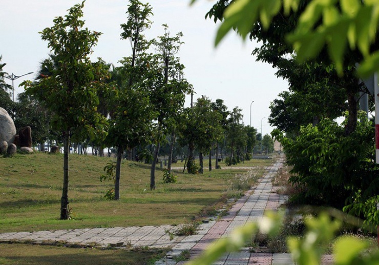 Phú Yên rà soát, báo cáo các dự án cây xanh theo yêu cầu của Bộ Công an - 1