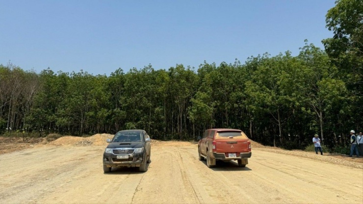 Cao tốc Khánh Hòa-Buôn Ma Thuột sẽ đi qua nhiều diện tích đất rừng. Ảnh: T.L