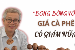 Thị trường - Tiêu dùng - 'Bong bóng' giá cà phê bắt đầu tan vỡ, sắp tới sẽ ra sao?