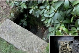 Phi thường - kỳ quặc - Cư dân mạng vội cảnh báo người đàn ông sau khi xem loạt ảnh về cầu thang bí ẩn