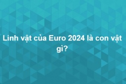 Giáo dục - du học - 15 câu đố thú vị mà chưa chắc bạn biết đáp án