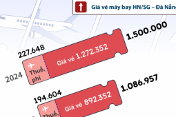 Thị trường - Tiêu dùng - Giá vé máy bay tăng do đâu?