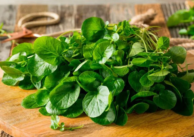 Cải xoong là loại rau ăn thường ngày, bình dân ở Việt Nam. Chúng có tên gọi khác là xà lách đơn, tây dương thái.

