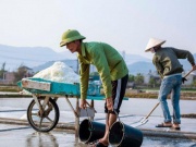 Thị trường - Tiêu dùng - Diêm dân oằn mình chắt chiu từng hạt muối nhưng giá muối giảm mạnh