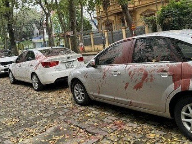 Khởi tố 4 đối tượng tạt sơn vào nhiều ô tô ở Hà Nội