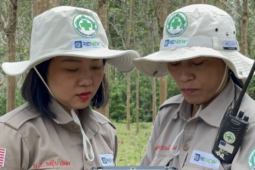 Tin tức trong ngày - 'Bông hồng thép' Diệu Linh