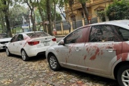 Tin tức trong ngày - Khởi tố 4 đối tượng tạt sơn vào nhiều ô tô ở Hà Nội