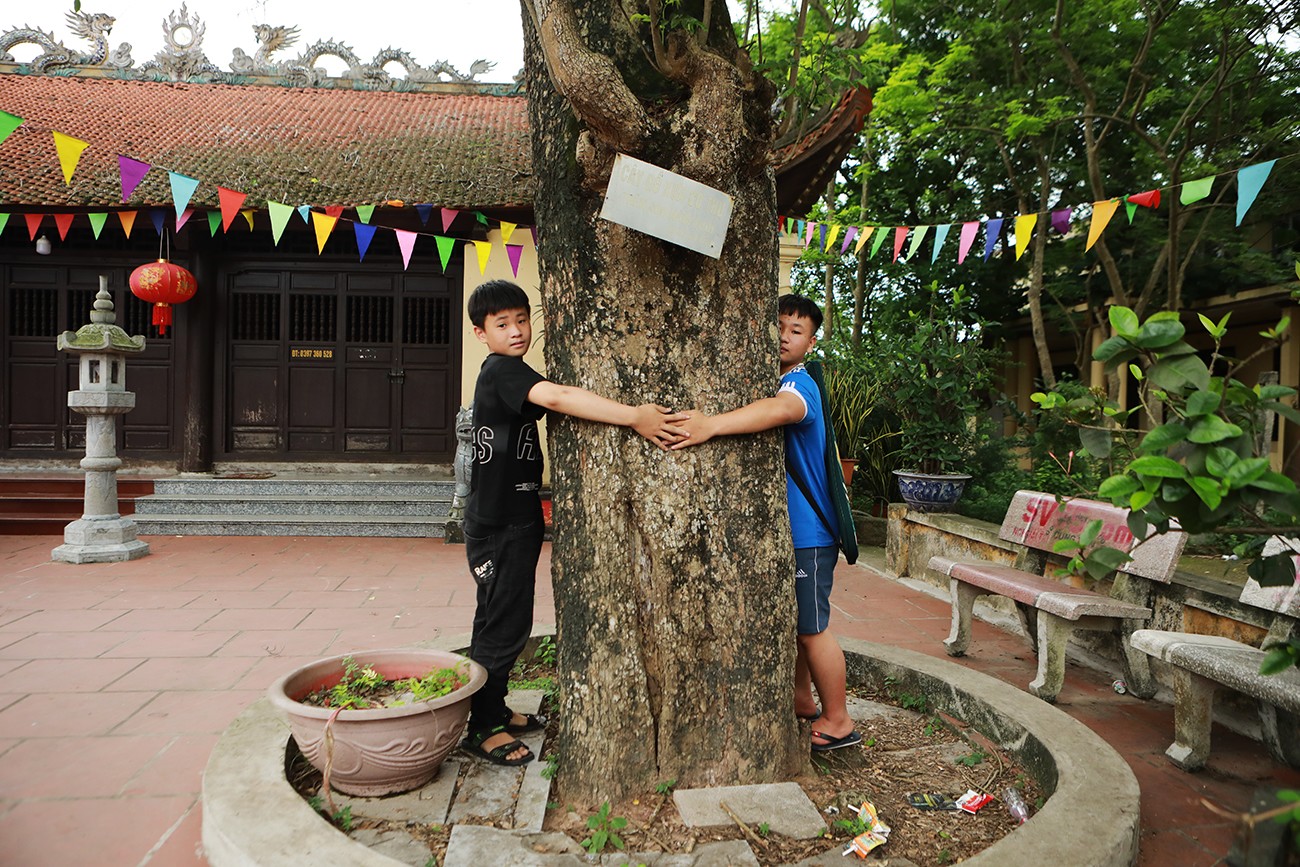 “Báu vật” hơn 400 tuổi, suýt bị bán với giá 100 tỷ đồng - 4