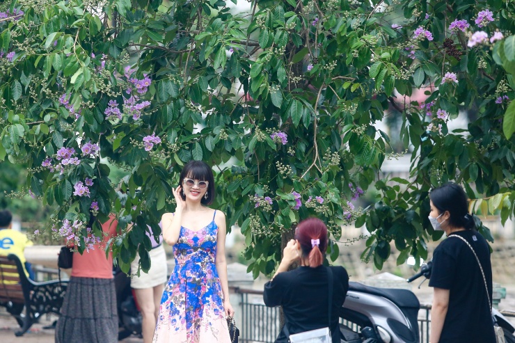Nhiều người cho biết chụp với hoa bằng lăng chỉ cần đơn giản là đứng cạnh bên hoa là có một tấm hình đẹp