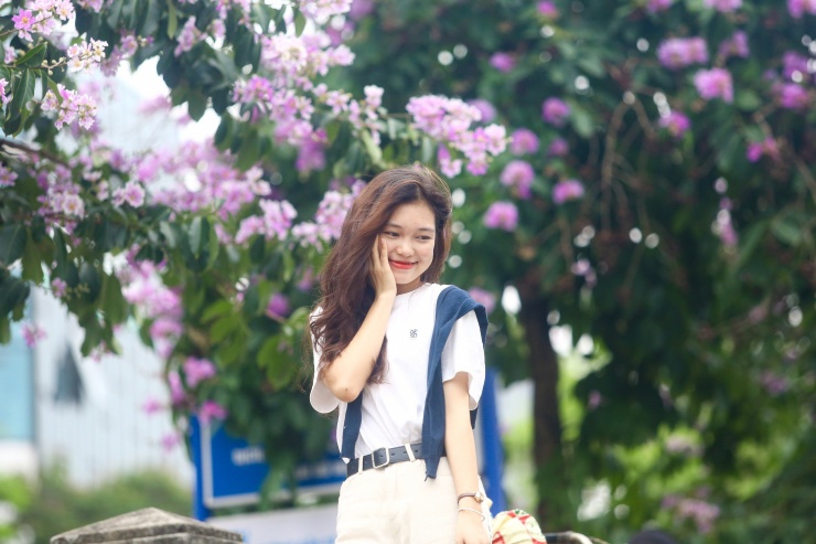 “Hàng cây ở đây nở rất đẹp, hoa rất dày và thấp nên dễ chụp ảnh. Qua mạng xã hội mọi người biết để tìm đến”- một người chia sẻ