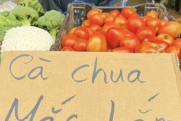 Thị trường - Tiêu dùng - Giá cà chua tăng cao đột biến