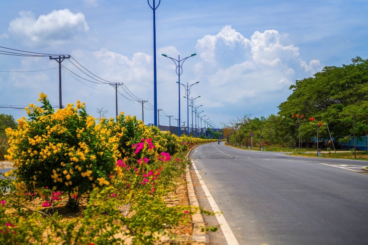 Những ngày này, đường nội đô trung tâm huyện nhuộm vàng sắc huỳnh liên đang bung nở.