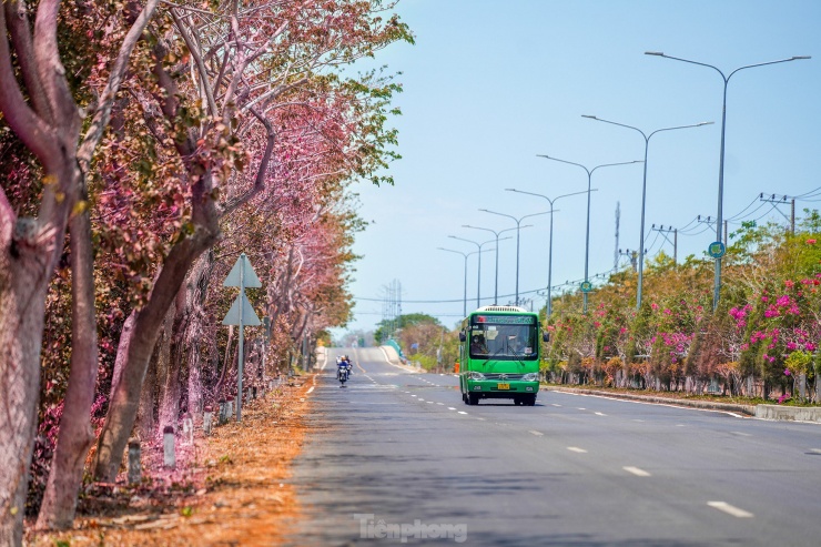 Đường Rừng Sác với tông màu mang hơi thở của mùa thu.