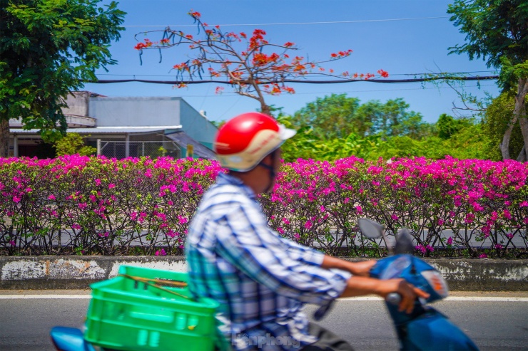 Tuyến đường độc đạo xuyên rừng đẹp như tranh ở TPHCM