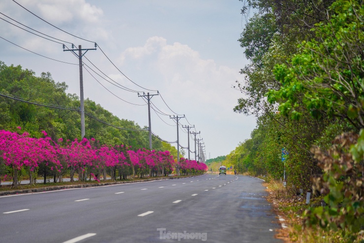 Đường Rừng Sác (Cần Giờ) là tuyến đường độc đạo đưa du khách vượt cánh rừng, tiến sát bờ biển. Dọc tuyến đường, khách tham quan được tận hưởng không khí trong lành với hệ thống động, thực vật đặc trưng.