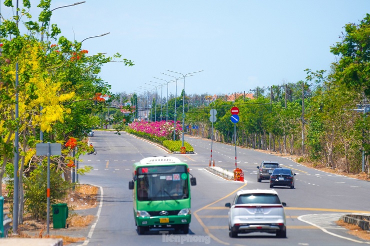 Tuyến đường độc đạo xuyên rừng đẹp như tranh ở TPHCM