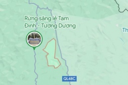 Tin tức trong ngày - Gặp tai nạn trên đường đi làm, 2 cán bộ công an thương vong