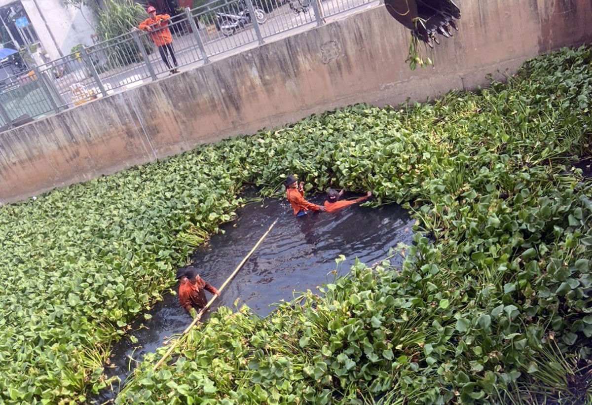 Huy động máy móc vớt rác “khủng” trên kênh Nước Đen - 2