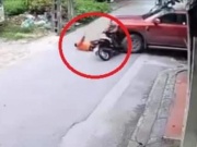 Tin tức trong ngày - Clip: Nhanh vài giây, ô tô bán tải lĩnh tai họa từ xe máy