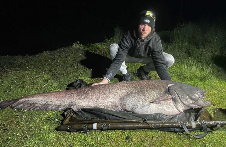 Darren Reitz đã câu được con cá da trơn nặng 64,4kg ở hồ Essex.