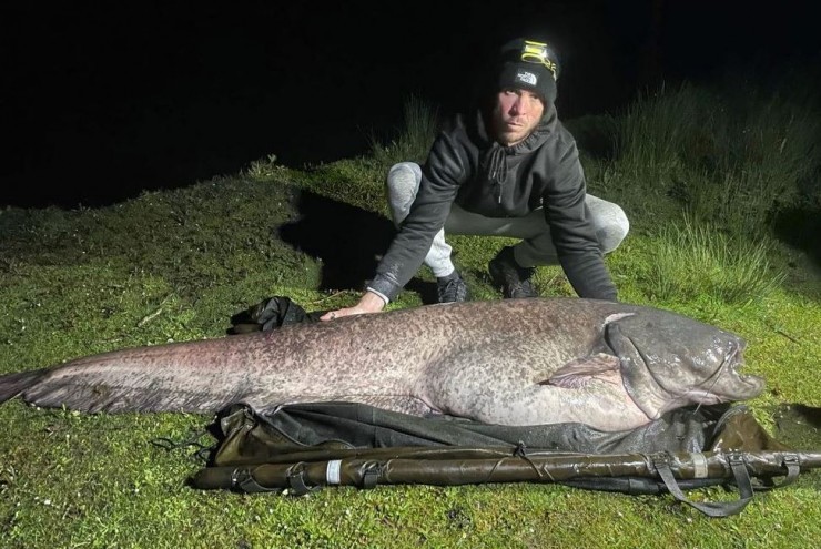 Clip: Người đàn ông câu được con cá da trơn khổng lồ nặng 64,4kg
