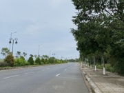 Tin tức trong ngày - Quảng Ngãi báo cáo Bộ Công an những dự án cây xanh nào?