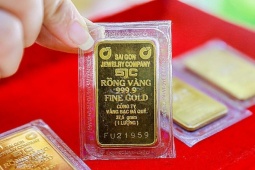 Kinh doanh - Tiếp tục đấu thầu vàng miếng ngày mai