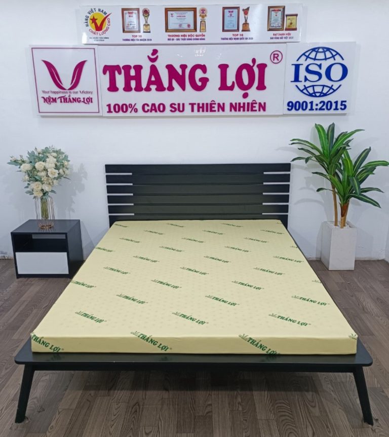 Top 3 loại nệm cao su non được sử dụng nhiều nhất hiện nay của Thắng lợi - 1