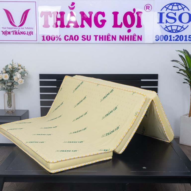 Top 3 loại nệm cao su non được sử dụng nhiều nhất hiện nay của Thắng lợi - 2