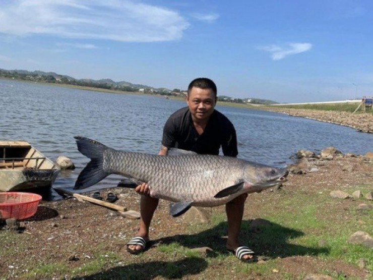 Câu được cá trắm đen “khủng“ hơn 36kg ở hồ nước đẹp nhất Buôn Ma Thuột