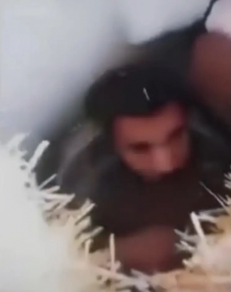 Hình ảnh và clip cho thấy Omar trông rất sợ hãi