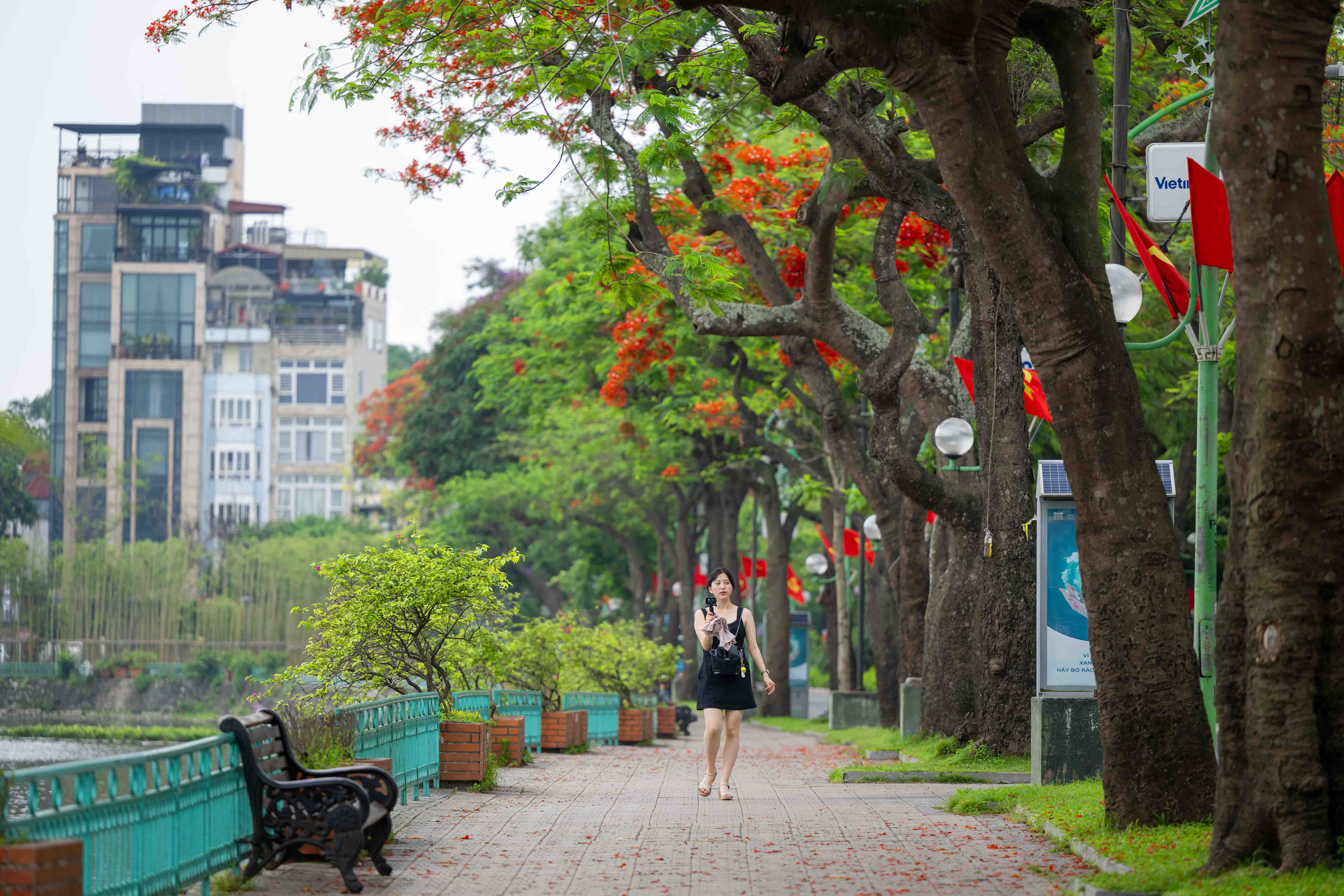 Đường Thanh Niên: Con Đường Lãng Mạn Nhất Thủ Đô