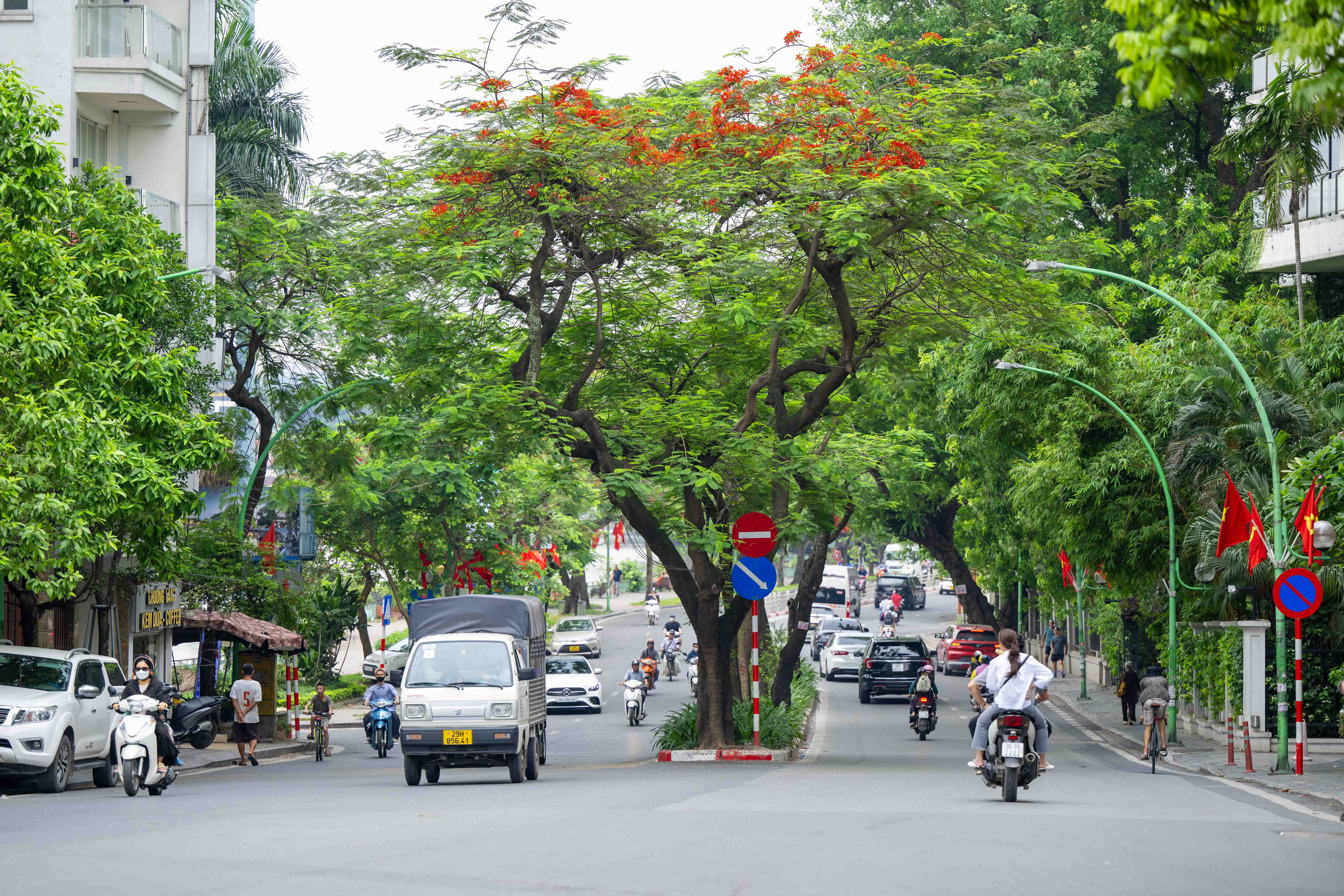 Đường Thanh Niên: Con Đường Lãng Mạn Nhất Thủ Đô