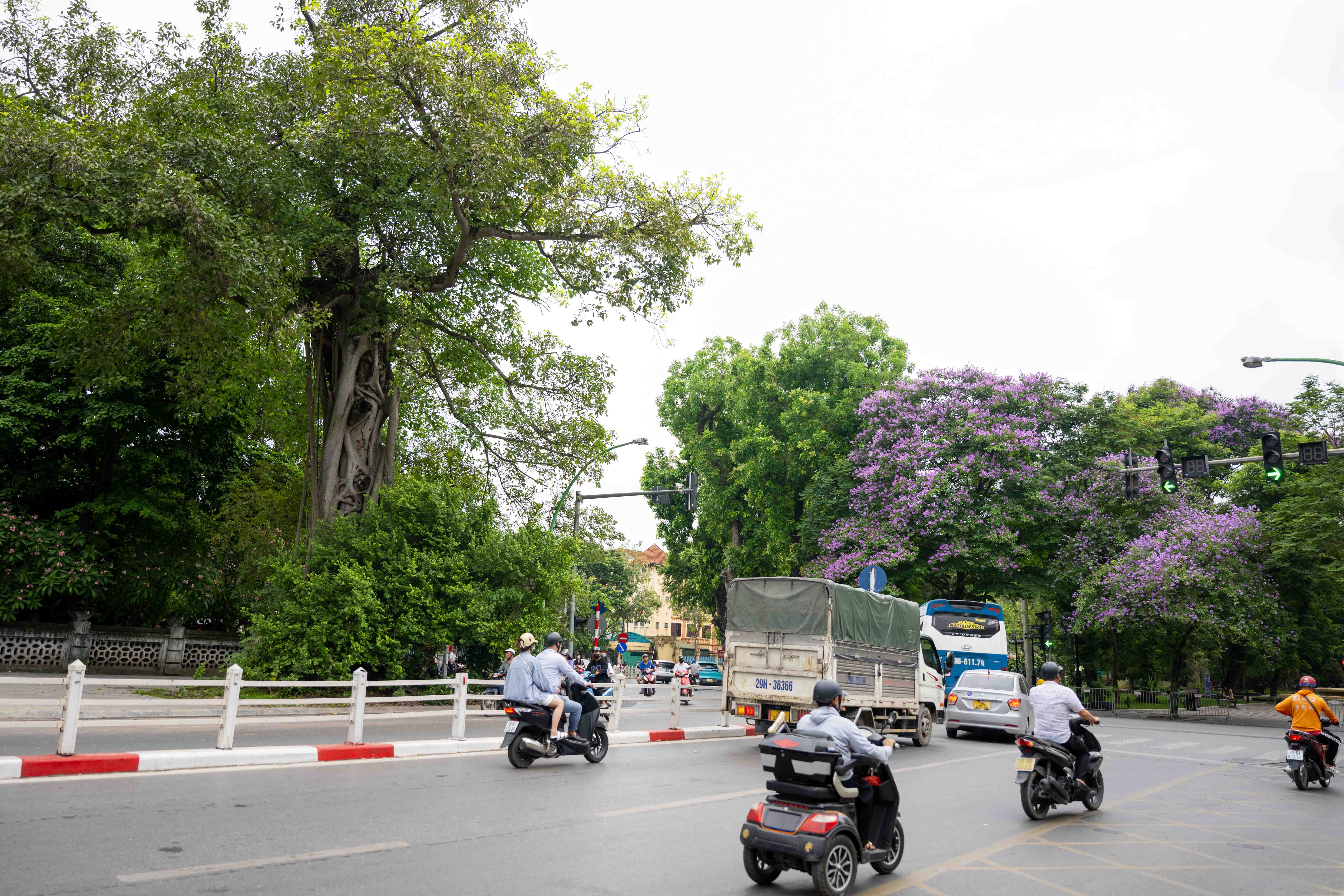 Đoạn đầu của đường Thanh Niên nằm ngay trong vườn hoa Tây Hồ. Bên cạnh tượng Lý Tự Trọng còn có một cây đa do chính tay Chủ tịch Hồ Chí Minh trồng .