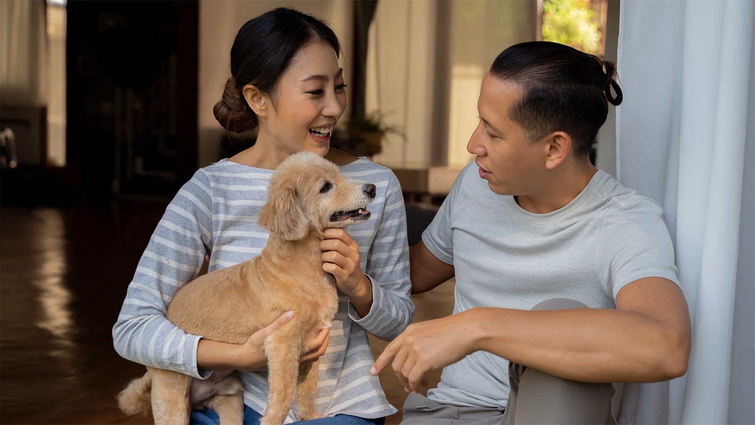 Một màn tỏ tình dễ thương với sự “trợ giúp” từ thú cưng, tại sao không nhỉ?