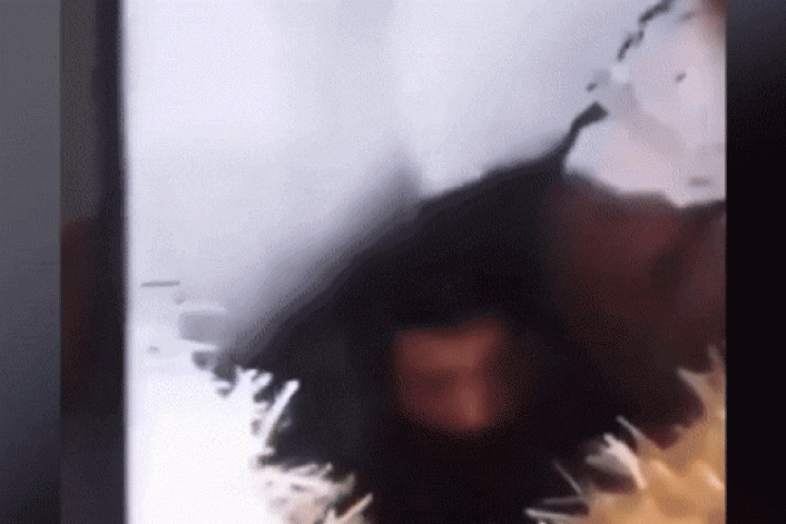 Phi thường - kỳ quặc - Bị bắt cóc 26 năm, người đàn ông được giải cứu dưới hầm nhà hàng xóm