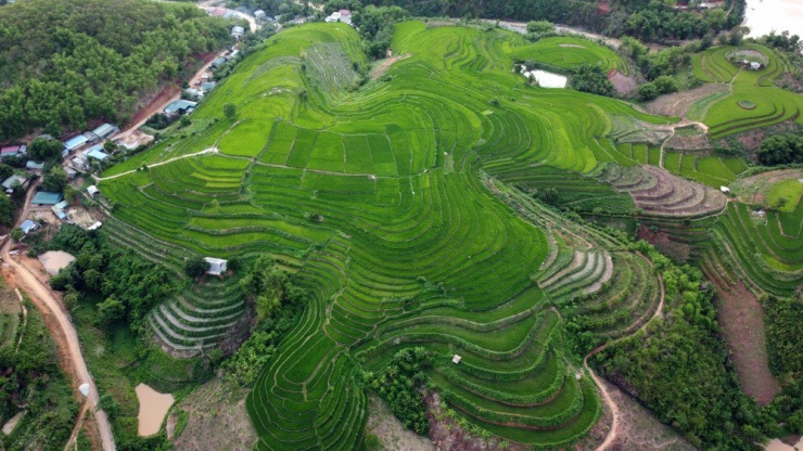 Ruộng bậc thang ở bản Pom Khuông, xã Tam Chung bên dòng sông Mã khiến nhiều người mê mẩn bởi sự nối tiếp, lớp lớp từ trên cao xuống thấp.