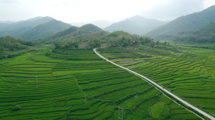Những thửa ruộng bậc thang xanh mướt, uốn lượn tạo nên những đường cong tuyệt đẹp nơi vùng biên huyện Mường Lát.
