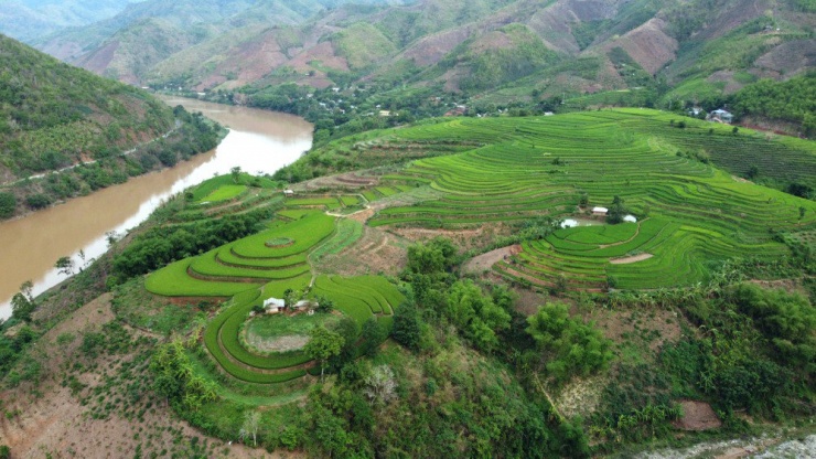 Trước mắt, Mường Lát thu hút khách du lịch trải nghiệm cùng với người dân trồng lúa, thu hoạch lúa, thưởng thức các món ăn của đồng bào người Mông, Thái…